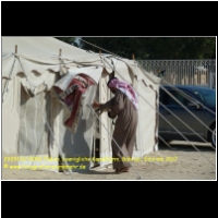 29291 02 0094 Falken, koenigliche Kamelfarm, Bahrain, Emirate 2017.jpg
